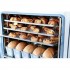 Печь конвекционная ABAT (АБАТ) КЭП-16П-01 11000010518 11000010518 Печь конвекционная ABAT (АБАТ) КЭП-16П-01 11000010518 11000010518